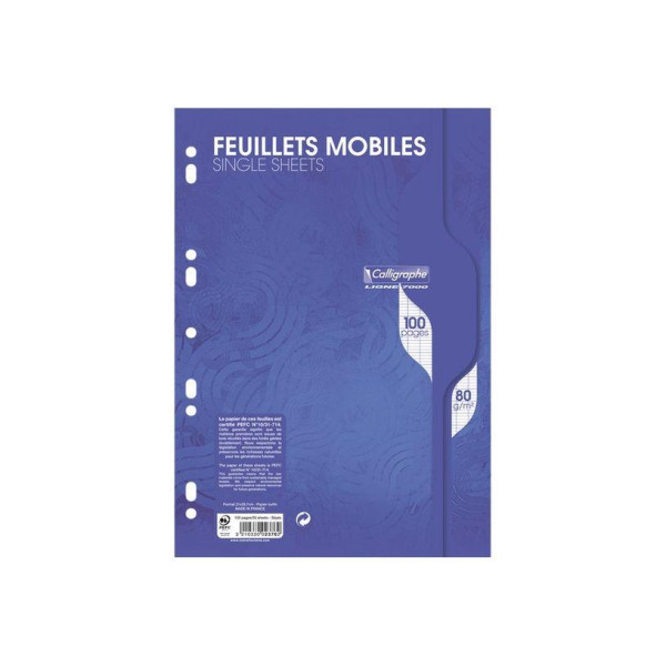 Calligraphe - 100 feuillets mobiles A4 - Grands carreaux (Seyes) - Perforées