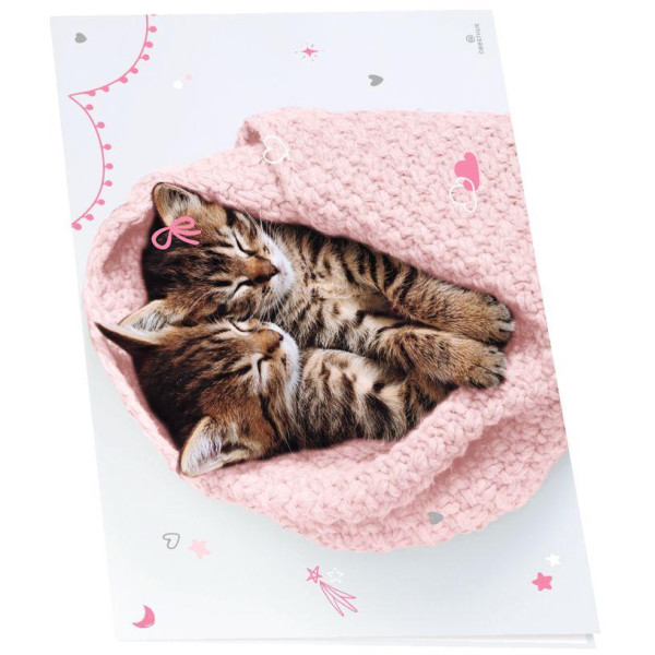 Sous-main double chaton tendre duo - 55 x 37 cm - Oberthur